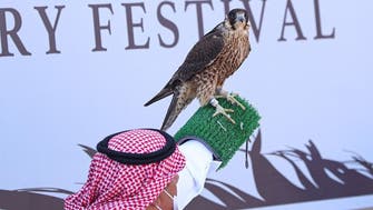 بجوائز 25 مليون ريال.. انطلاق مهرجان الملك عبدالعزيز للصقور 