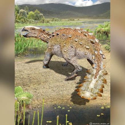 علماء تشيليون يكشفون عن ديناصور جديد بذيل غير مسبوق