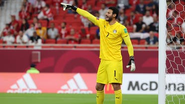 الشناوي 