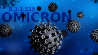 World nations try to balance omicron restrictions while keeping economies open