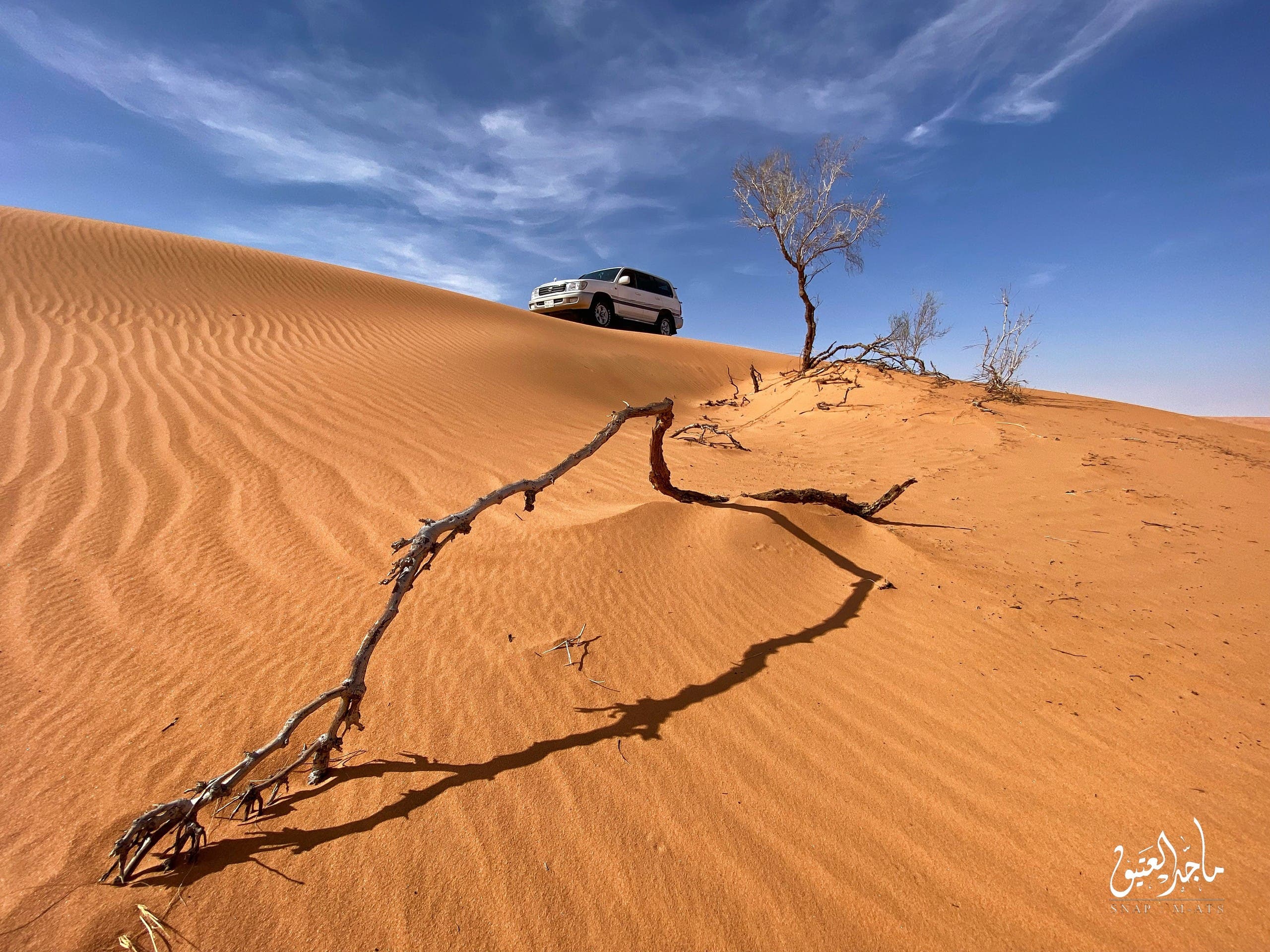 The Desert - Majid Al Ateeq