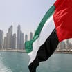 UAE tackles banned weapons financing, awaits dirty money list decision 