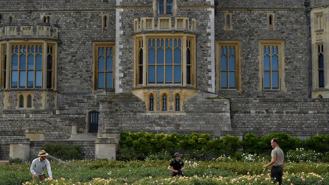 Members of the gardening team prune roses in preparation for the East Terrace Garden at Windsor Castle to be opened to the public for the first time in decades, following the outbreak of the coronavirus disease (COVID-19), Windsor, Britain, August 5, 2020. (Reuters)
