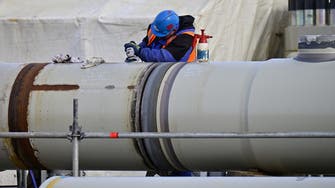 ألمانيا ترفع مستوى التأهب بشأن الغاز بعد تخفيض روسيا للإمدادات