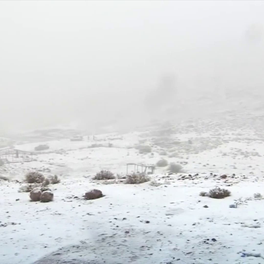 Watch: Snow turns Saudi Arabia’s Tabuk region white on New Year’s Day 