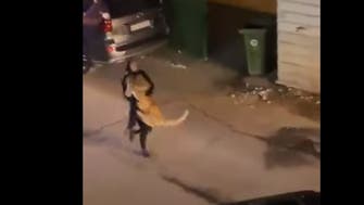 Video shows girl catching escaped lion in Kuwait: Report