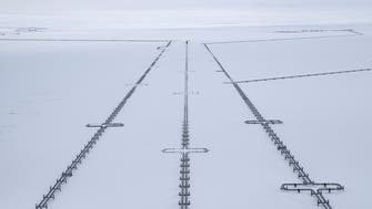Analysis: Full gas storage no fix for Europe’s cold winter energy crunch