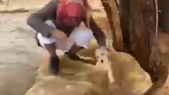 فيديو يثير الإعجاب.. سعودي ينقذ "كلباً" من سيل جارف