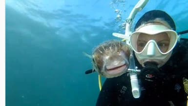 حتى السمكة الأخطر في العالم تبتسم للنساء.. شاهد الفيديو