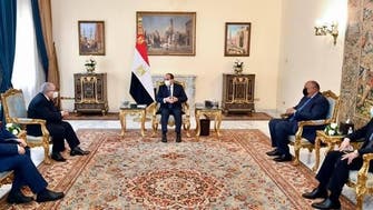 تأكيد مصري جزائري على وحدة ليبيا ودعم رئيس تونس