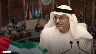 قرقاش: إجماع عربي على طلب الإمارات تصنيف الحوثيين 