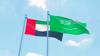ابوظبی: امنیت امارات و سعودی یک تمامیت جدایی‌ناپذیر است