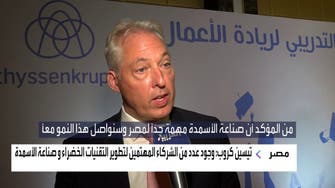 تيسين كروب للعربية: نعمل مع مصر لإنشاء مصنع للهيدروجين الأخضر  