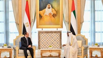 السیسی: ارتباط تنگاتنگی میان امنیت ملی مصر و امارات وجود دارد