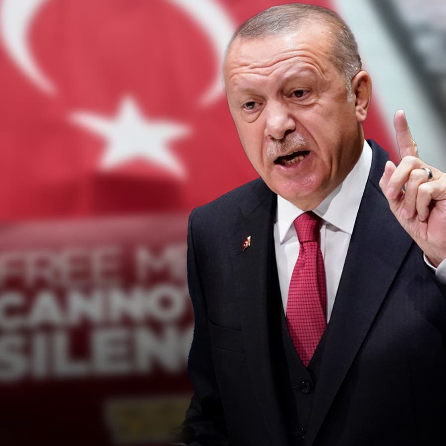 الجاليات التركية بالخارج.. كيف يستغلها أردوغان لدحر "مؤامرات أوروبا"؟