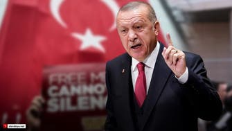 أردوغان يحذر: "إهانة الرئيس" لن تمر من دون عقاب