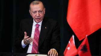 Erdogan calls on UAE’s private sector to invest in Turkey