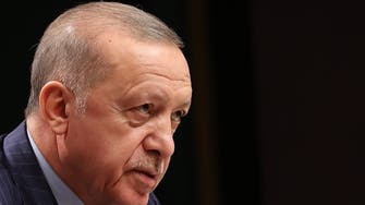 أردوغان: اعتراف بوتين انتهاك لسيادة أوكرانيا