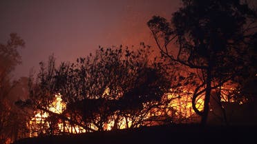 Houses burn behind trees during a bushfire in Roleystone, near Perth. (File photo: Reuters) 
