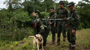 Colombian anti-drug policemen and a dog stand guard at a coca plantation in Tumaco, Colombia February 26, 2020. Picture taken February 26, 2020. REUTERS/Luisa Gonzalez
