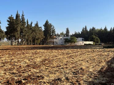 Against the backdrop of Lebanon’s multiple ongoing crises, architects Karl Karam and Jihad Farah have chosen to embark upon a new venture; cultivating saffron in the country’s Bekaa Valley. (Image: Rob McKelvey)