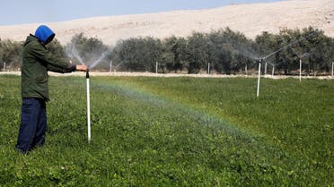 A worker checks a water sprinkler on a farm that uses solar panels, which are one of the sustainable energy options that help olive farmers, in Mosul, Iraq, on February 2, 2022. (Reuters)
