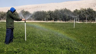 Iraqi olive farmers power their production using solar energy