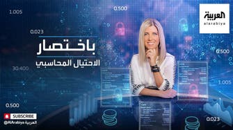 باختصار | الاحتيال المحاسبي 