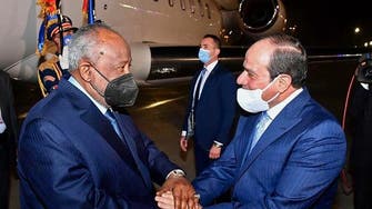 Egypt’s Sisi, Djibouti counterpart meet to discuss ties, Ethiopian dam