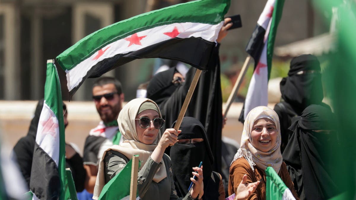 Assad's female fighters: Progress or propaganda?