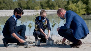 Britain's Prince William plants trees with local schoolchildren at Jubail Mangrove Park in Abu Dhabi, UAE, on Thursday February 10 2022. (WAM)