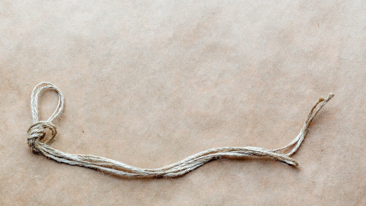 a21ac4a9-c890-4729-b6b9-9f5797b75492_16x9_1200x676.jpg
