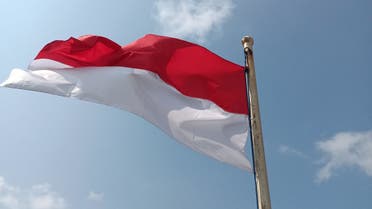 Stock image of the Indonesian flag. (Pexels)