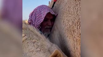 Video of camel embracing former owner in emotional reunion goes viral