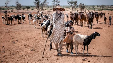 TOPSHOT - A nomadic Fulani man and his son walk with their cattle on the way to Nigeria in a remote area near Maradi, Niger on July 29, 2019. In the African Sahel, located between the Sahara Desert and the equator, the climate has long been inhospitable. But now rising temperatures have caused prolonged drought and unpredictable weather patterns, exacerbating food shortages, prompting migration and contributing to instability in countries already beset by crisis. / AFP / FAO / Luis TATO / RESTRICTED TO EDITORIAL USE - MANDATORY CREDIT AFP PHOTO /FAO/LUIS TATO - NO MARKETING - NO ADVERTISING CAMPAIGNS - DISTRIBUTED AS A SERVICE TO CLIENTS