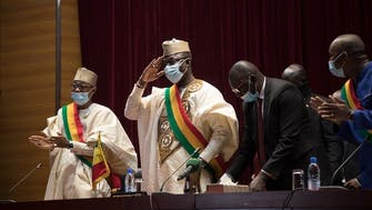 Mali crisis mediator Goodluck Jonathan urges short transition