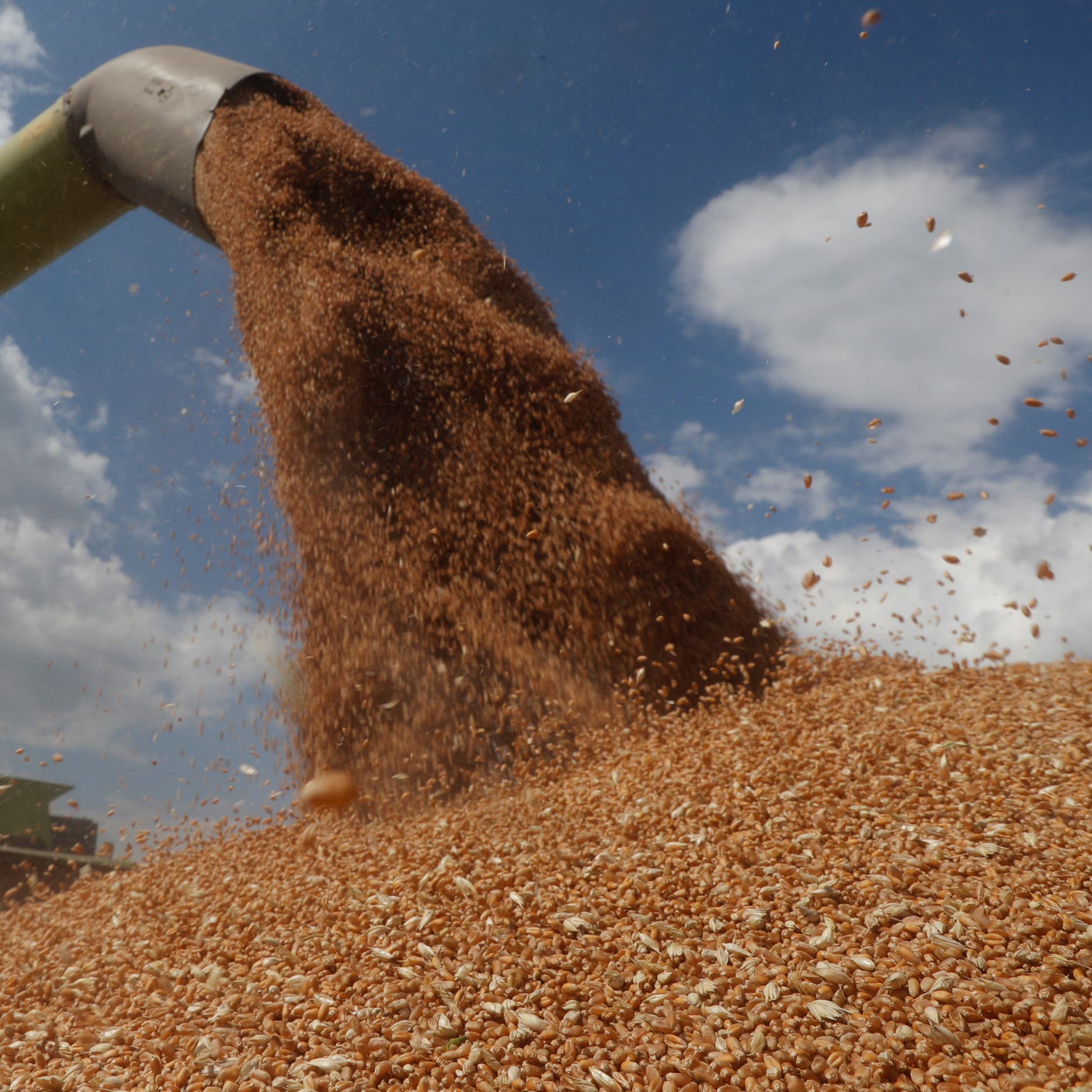 مصر تشتري 465 ألف طن من القمح الروسي والروماني والبلغاري