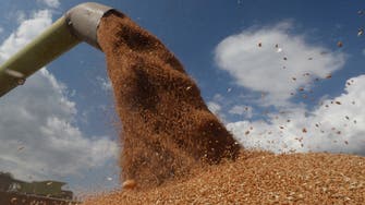 وزير اقتصاد لبنان: احتياطي القمح يكفي لمدة شهر واحد على الأكثر