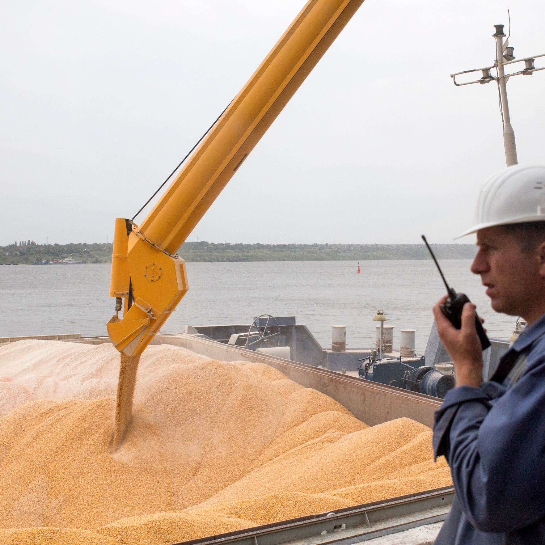 بعد حظر التصدير الهندي.. مستوردو القمح في آسيا يتسابقون على الإمدادات 