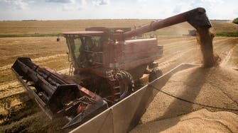 الأردن يمتنع عن الشراء في مناقصة للحصول على 120 ألف طن من القمح
