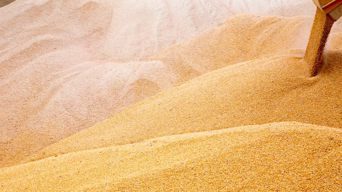 الرئيس تبون: الجزائر تملك مخزونات من القمح تكفي لمدة ثمانية أشهر
