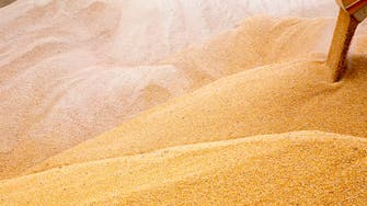 وزير التموين: مصر لديها مخزون استراتيجي من القمح حتى نهاية يناير