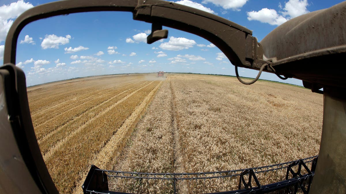 أوكرانيا في تحذير قوي: ارتفاع أسعار الحبوب عالميا سيستمر