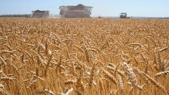 Egypt to receive 189,000 tonnes of Black Sea wheat: Ministry