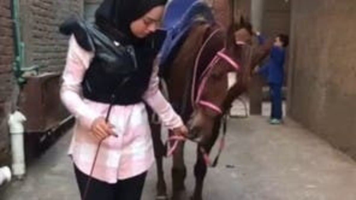 شاهد فتاة مصرية تروض الخيول على أنغام المزمار