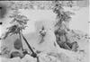 جنود فنلنديون بحرب الشتاء أثناء تخفيهم بين الثلوج