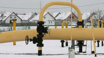 هذه خطة "الطاقة الدولية" للاستغناء عن الغاز الروسي
