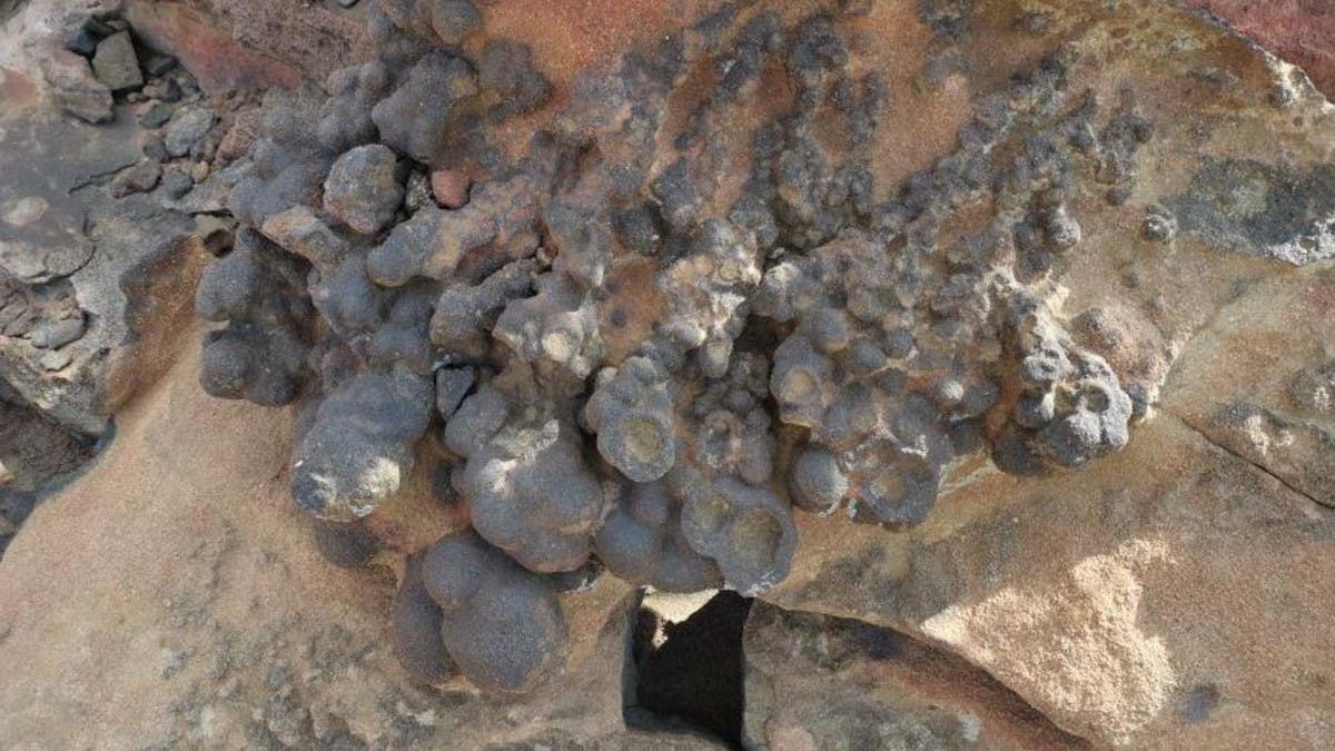 الكتل المتحجرة بالسعودية.. ظاهرة عمرها ملايين السنين