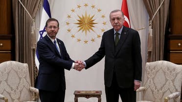 Turkish President Tayyip Erdogan shakes hands with his Israeli counterpart Isaac Herzog in Ankara, Turkey March 9, 2022. Presidential Press Office/Handout via REUTERS ATTENTION EDITORS - THIS PICTURE WAS PROVIDED BY A THIRD PARTY. NO RESALES. NO ARCHIVE.