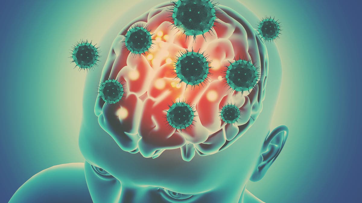 فيروس “التهاب الدماغ الياباني” ينتشر بأستراليا.. وهذه أعراضه